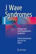 J Wave Syndromes