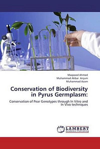 Conservation of Biodiversity in Pyrus Germplasm
