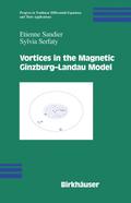 Vortices in the Magnetic Ginzburg-Landau Model