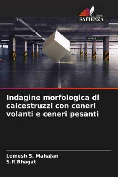 Indagine morfologica di calcestruzzi con ceneri volanti e ceneri pesanti