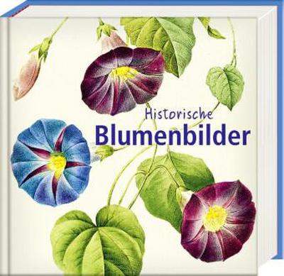 Historische Blumenbilder - Book To Go