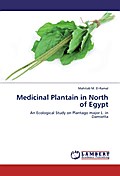 Medicinal Plantain in North of Egypt