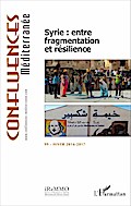 Syrie : entre fragmentation et résilience