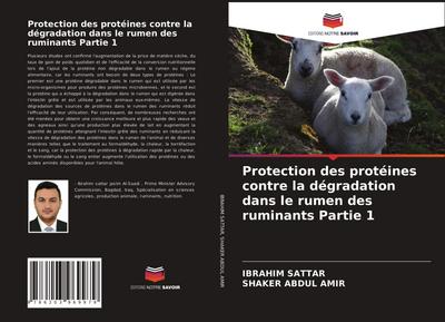 Protection des protéines contre la dégradation dans le rumen des ruminants Partie 1
