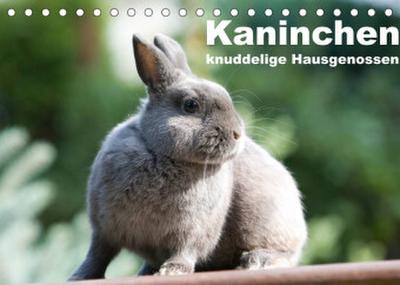 Kaninchen - knuddelige Hausgenossen (Tischkalender 2022 DIN A5 quer)