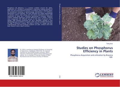 Studies on Phosphorus Efficiency in Plants