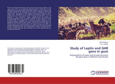 Study of Leptin and GHR gene in goat