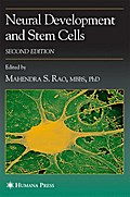 Neural Development and Stem Cells