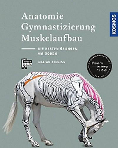 Anatomie, Gymnastizierung, Muskelaufbau