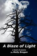 A Blaze of Light