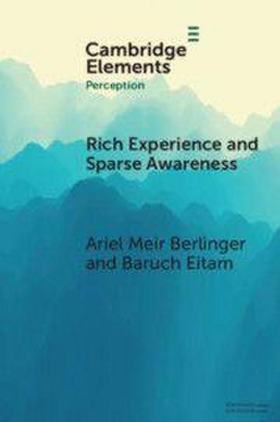 Rich Experience and Sparse Awareness