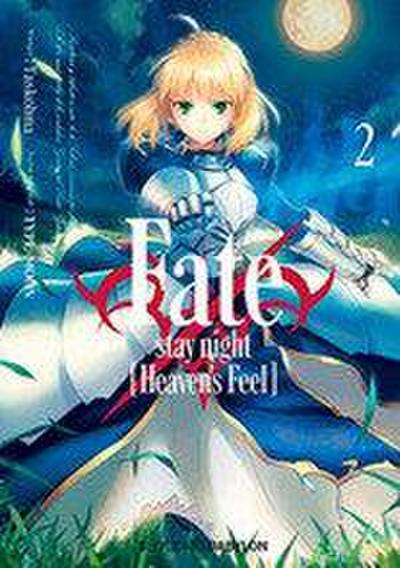 Fate, stay night