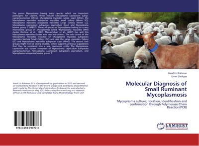 Molecular Diagnosis of Small Ruminant Mycoplasmosis