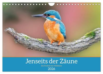 Jenseits der Zäune (Wandkalender 2026 DIN A4 quer), CALVENDO Monatskalender