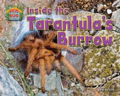 Inside the Tarantula’s Burrow