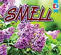 Smell