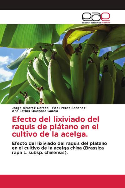 Efecto del lixiviado del raquis de plátano en el cultivo de la acelga.