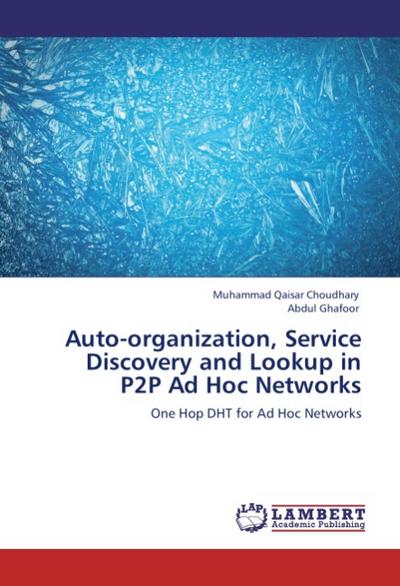 Auto-organization, Service Discovery and Lookup in P2P Ad Hoc Networks