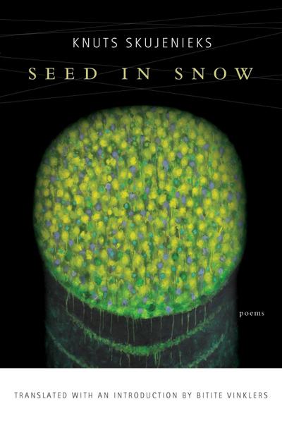 Seed in Snow
