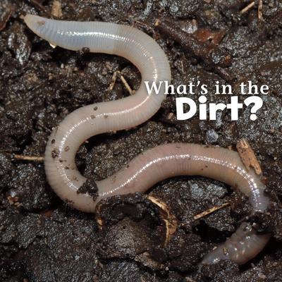 What’s in the Soil?