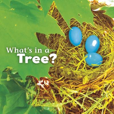 What’s in a Tree?