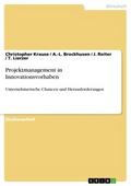 Projektmanagement in Innovationsvorhaben