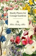 Hardy Plants For Cottage Gardens
