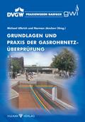 Grundlagen und Praxis der Gasrohrnetzüberprüfung
