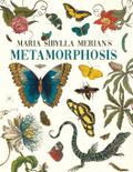 Maria Sibylla Merian’s Metamorphosis