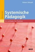 Systemische Pädagogik
