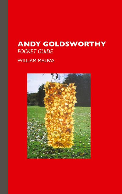 Andy Goldsworthy