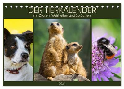 Der Tierkalender mit Zitaten, Weisheiten und Sprüchen (Tischkalender 2024 DIN A5 quer), CALVENDO Monatskalender