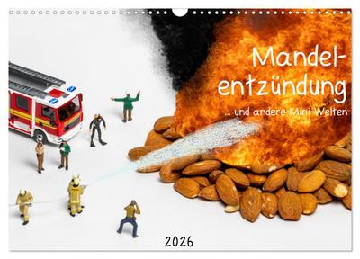 Mandelentzündung ... und andere Mini-Welten (Wandkalender 2026 DIN A3 quer), CALVENDO Monatskalender