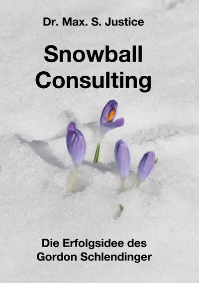 Snowball Consulting