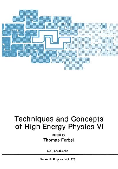 Techniques and Concepts of High-Energy Physics VI
