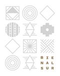 BIENALSUR 2019