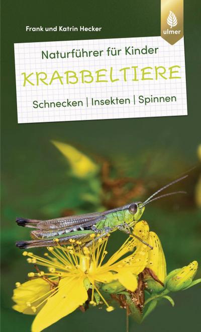 Naturführer für Kinder: Krabbeltiere