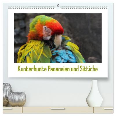 Kunterbunte Papageien und Sittiche (hochwertiger Premium Wandkalender 2026 DIN A2 quer), Kunstdruck in Hochglanz