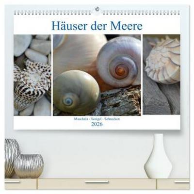 Häuser der Meere: Muscheln - Seeigel - Schnecken (hochwertiger Premium Wandkalender 2026 DIN A2 quer), Kunstdruck in Hochglanz