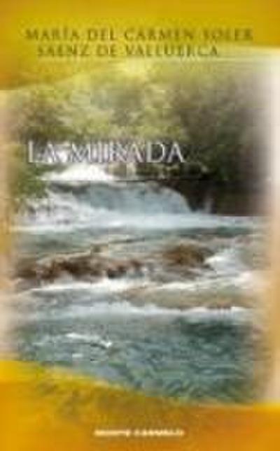 La mirada
