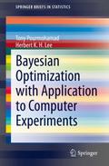 Bayesian Optimization with Application to Computer