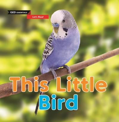 Let’s Read: This Little Bird