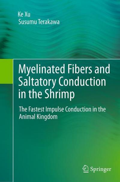 Myelinated Fibers and Saltatory Conduction in the Shrimp