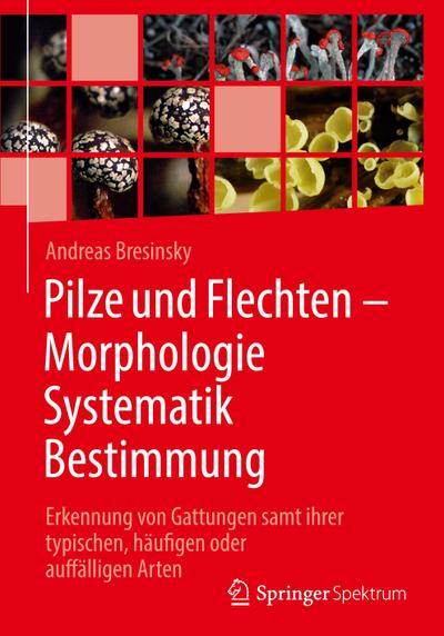 Pilze und Flechten ¿ Morphologie, Systematik, Bestimmung
