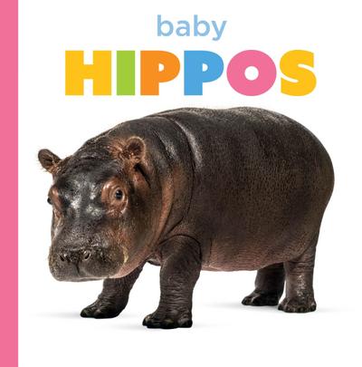 Baby Hippos
