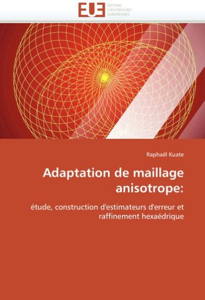 Adaptation de maillage anisotrope - Raphaël Kuate