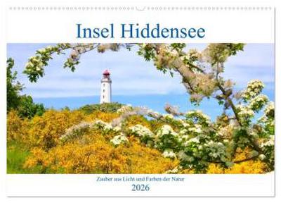 Hiddensee mon amour (Wandkalender 2026 DIN A2 quer), CALVENDO Monatskalender