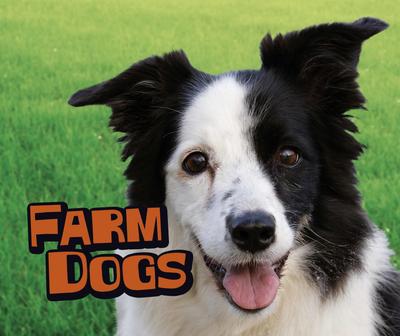 Farm Dogs