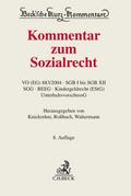 Kommentar zum Sozialrecht