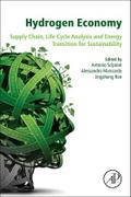 Hydrogen Economy
